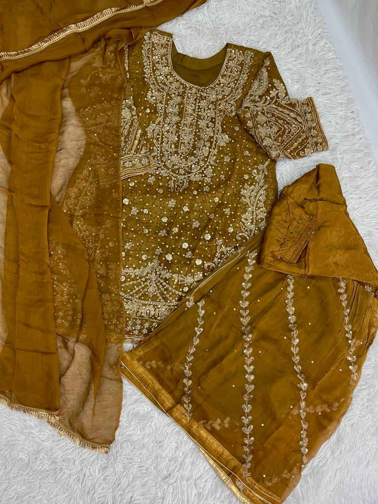 Beautiful 3-Piece Gharara