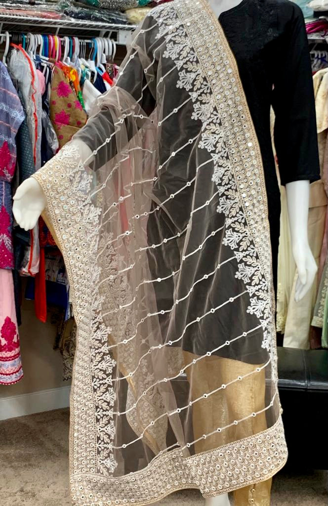 Tan Fancy Dupatta