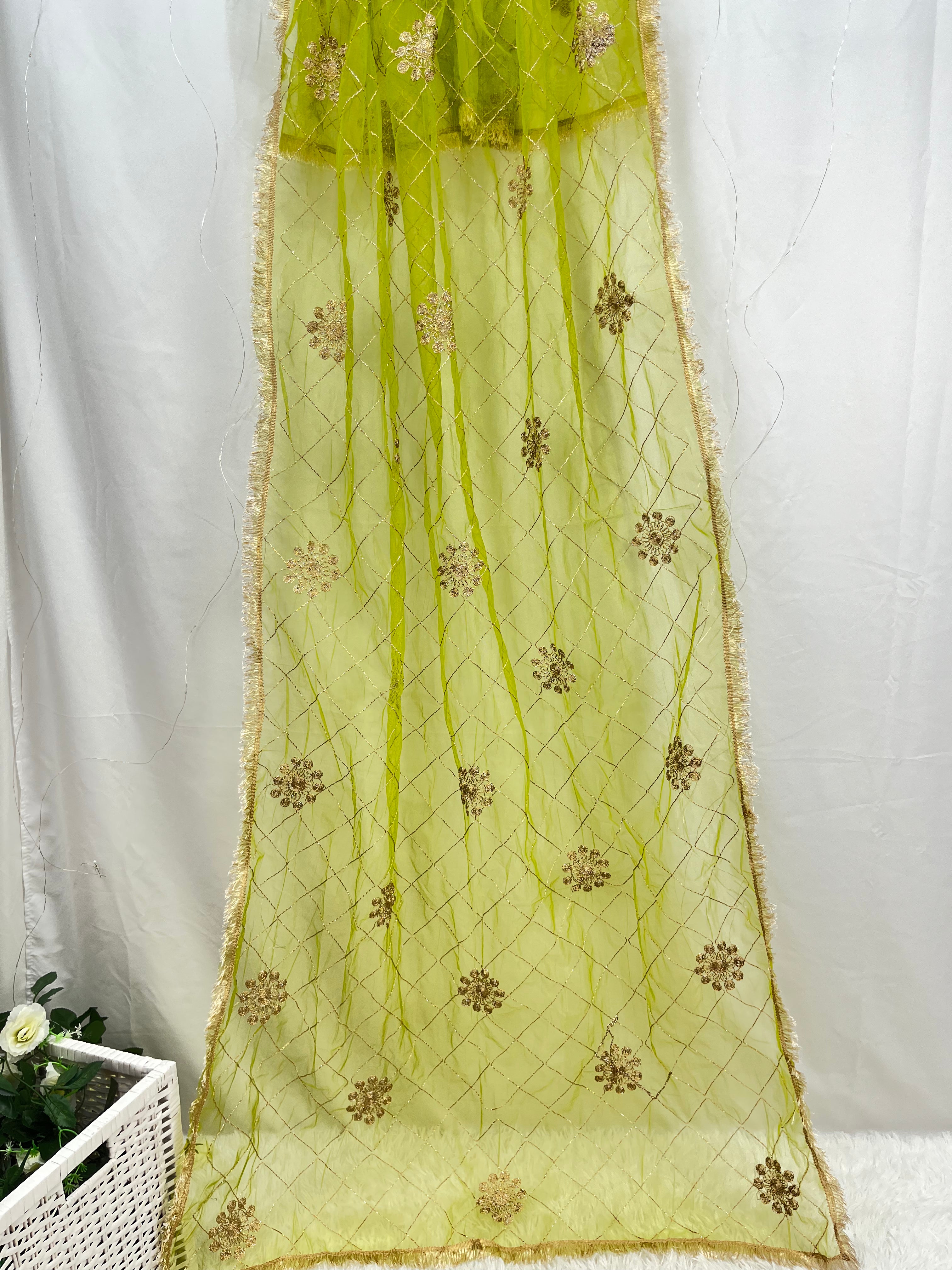 Net Green Dupatta with Zari Work