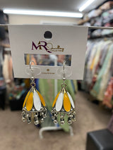 Multi-Color Earrings