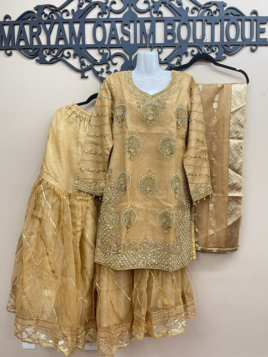 Organza Full Flair Gharara 3PC Beige