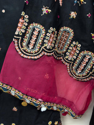 Sana Safinaz inspired suit