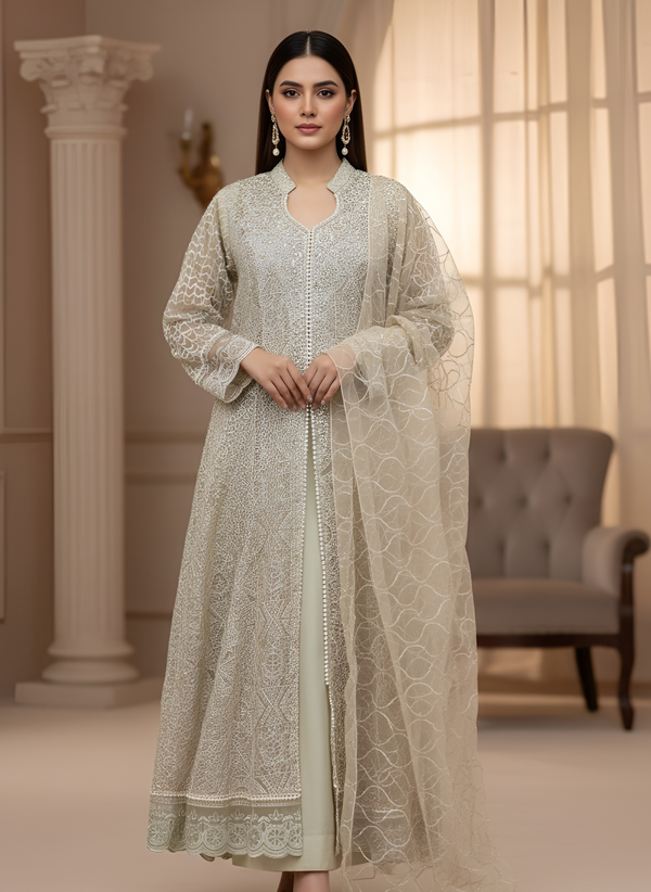 Luxury Pakistani Formal Net Embroidered 3 Piece Outfit
