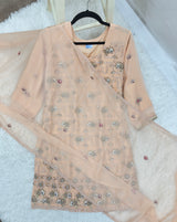 3PC Peach Chiffon Festive Outfit Medium
