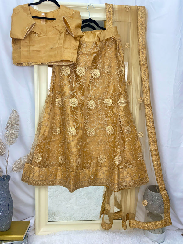 Stunning Golden Brown Net Lehenga with a Silk Blouse