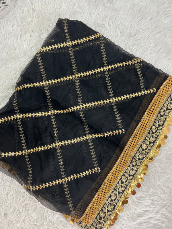 Black Organza Dupatta with Gold Border