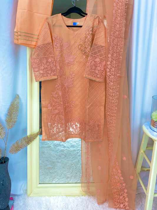 Fancy Orange-Peach Organza 3PC Outfit