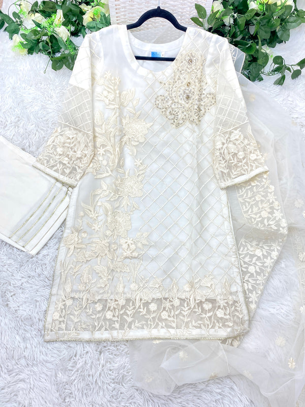 Luxury White Organza Handwork Outfit