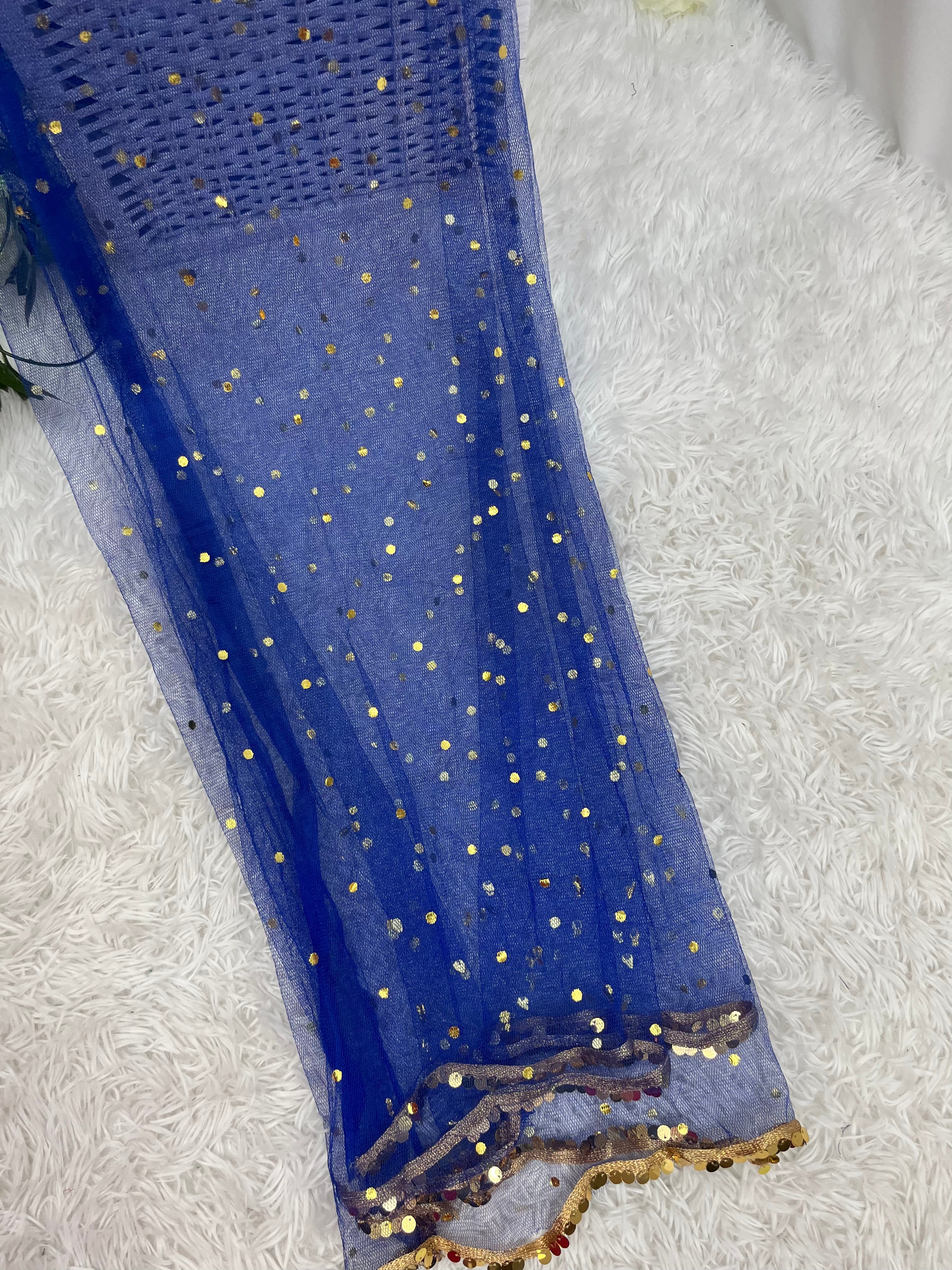Blue Net Dupatta with border for girls