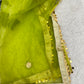 Green Net Dupatta with sequin Border