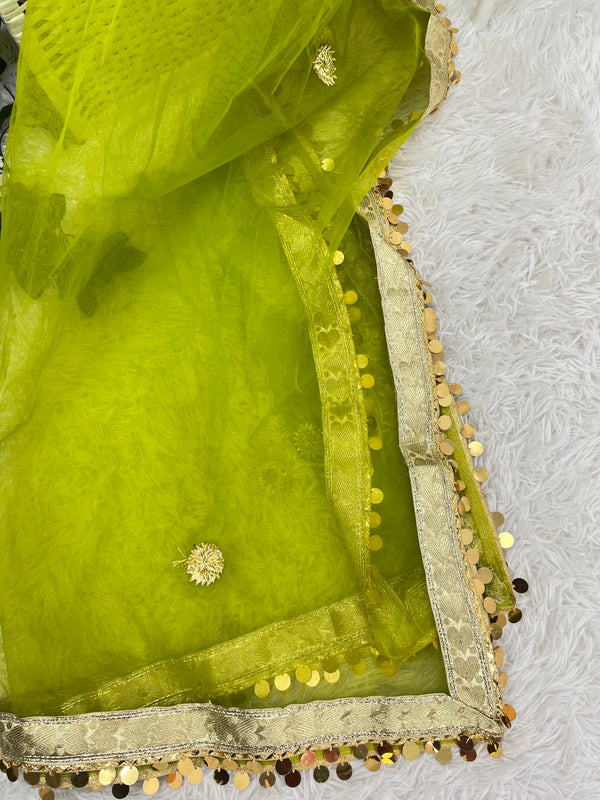 Green Net Dupatta with sequin Border