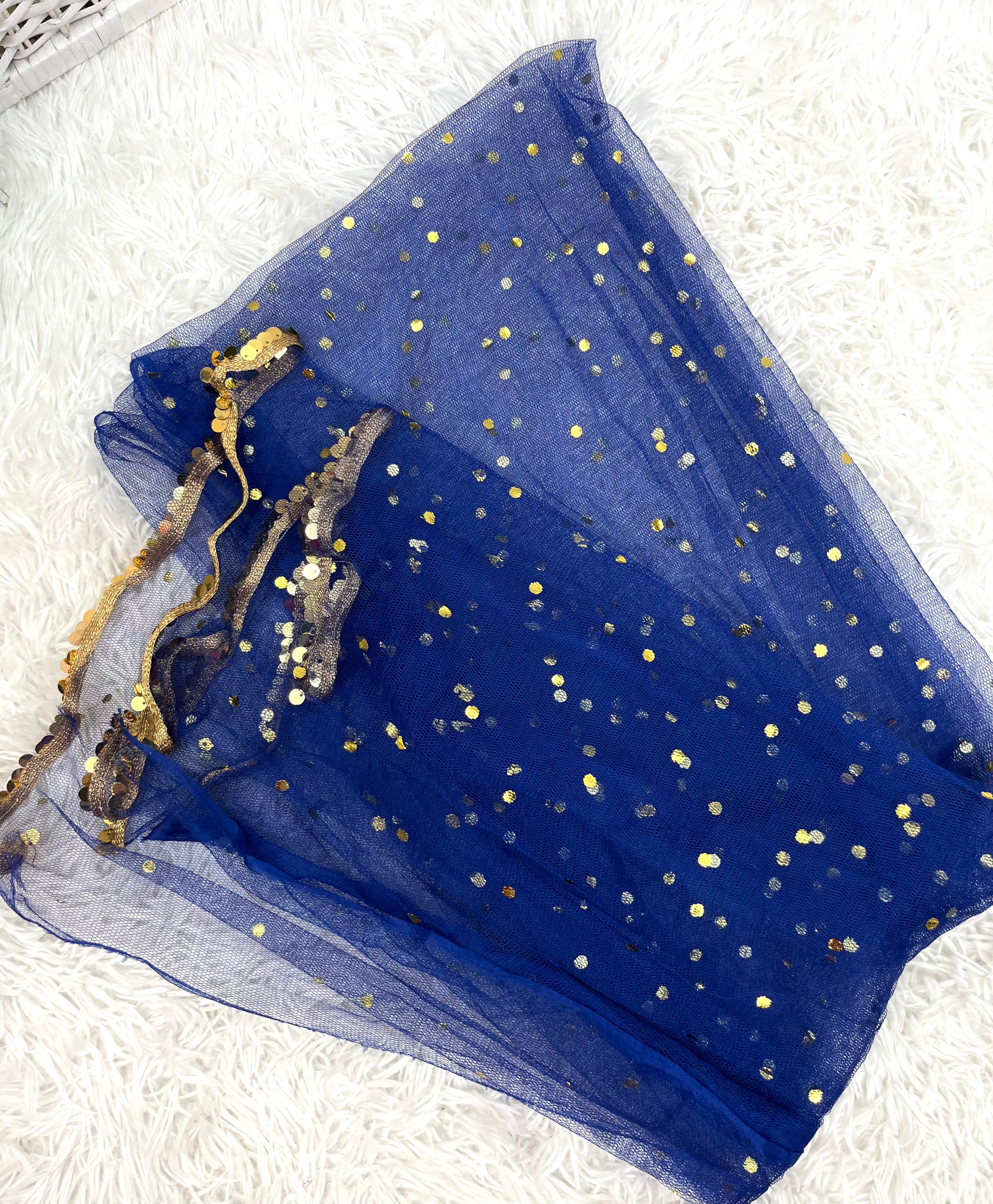 Blue Net Dupatta with border for girls