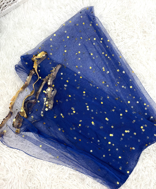 Blue Net Dupatta with border