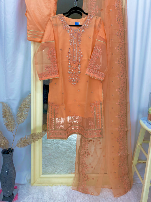 Fancy Orange-Peach Organza 3PC Outfit