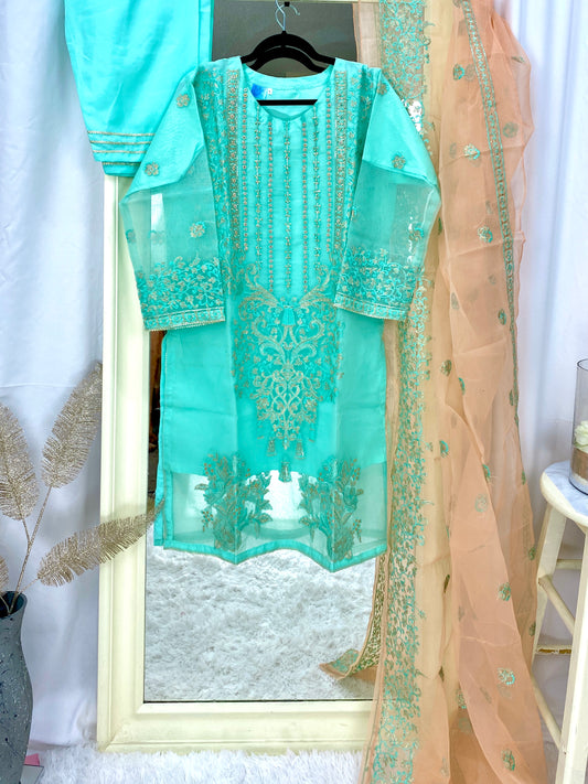 Fancy Blue-Peach Organza 3PC Outfit