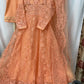Organza Thread Work Maxi - Peach