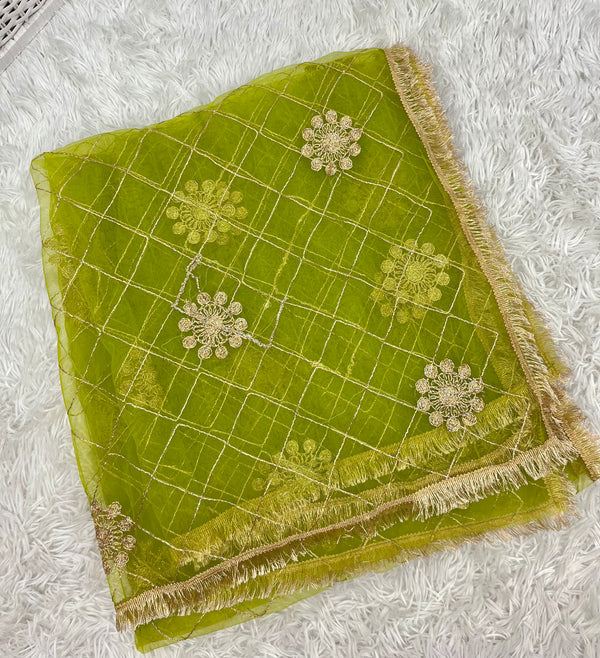 Net Green Dupatta with Zari Work